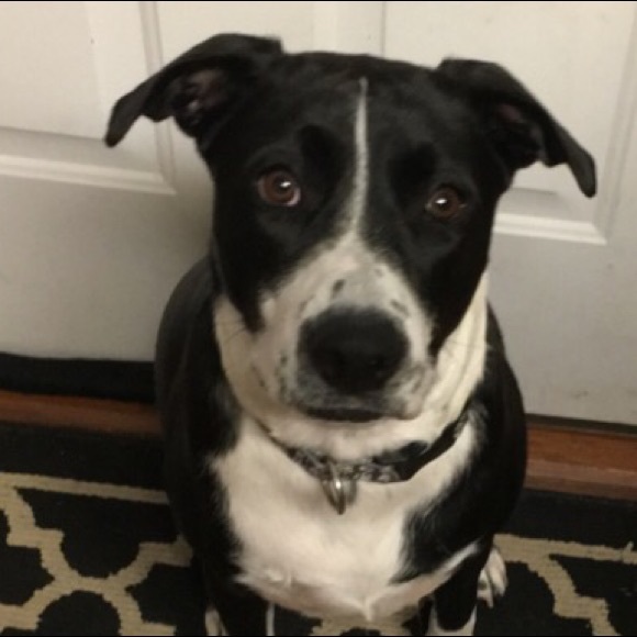 Meet your Posher, Alexis - Picture 1 of 1